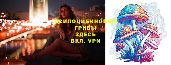 ешки Нефтегорск