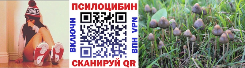 Галлюциногенные грибы Psilocybine cubensis Купить где Кинель